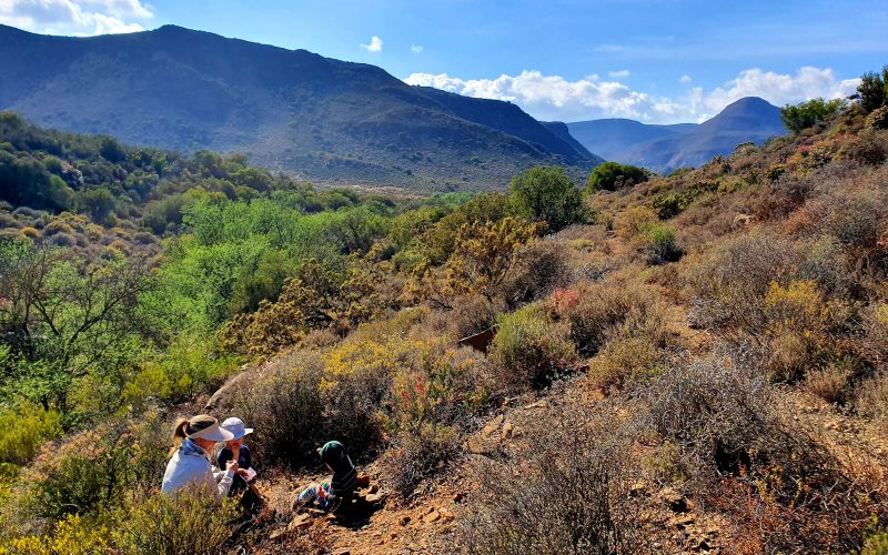 Montevue Nature Farm Hiking and Picnic